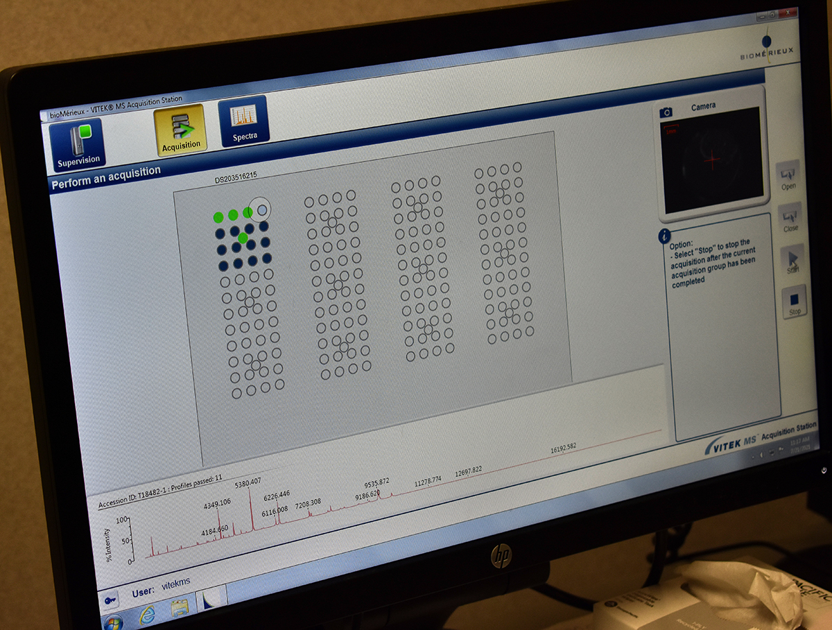 Lab display